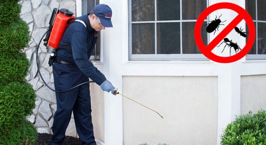 Eğil Fare İlaçlama böcek ilaçlama ve haşere kontrolü — ilaclama-tr.com
